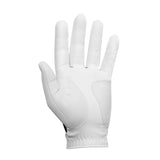 FootJoy Men's WeatherSof 2-Pack Golf Glove