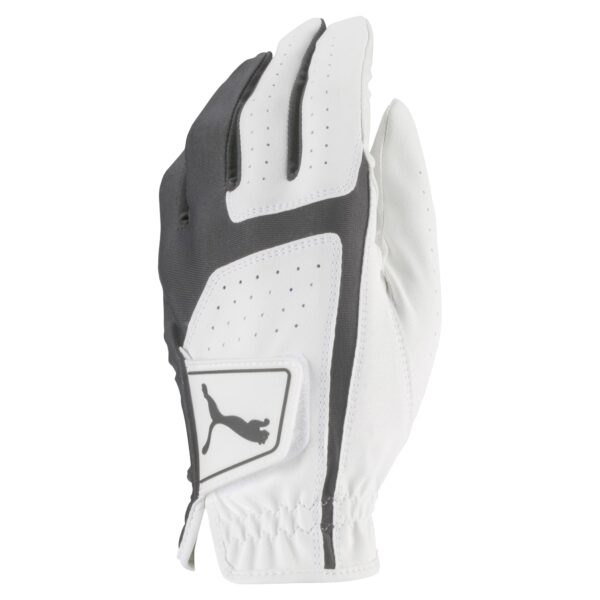 PUMA Golf Men's Flexlite Golf Glove (Bright White-Quiet Shade, Large, Left Hand)